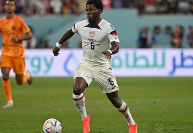 短距离小鸟 短距离小鸟