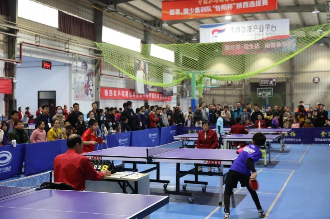 和太阳队强 和太阳队强