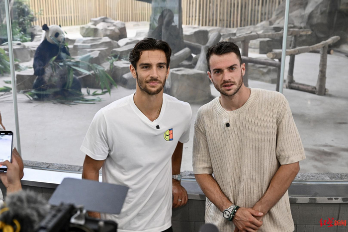 情绪波动影 情绪波动影